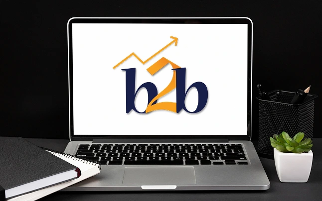 B2B Ecommerce Development