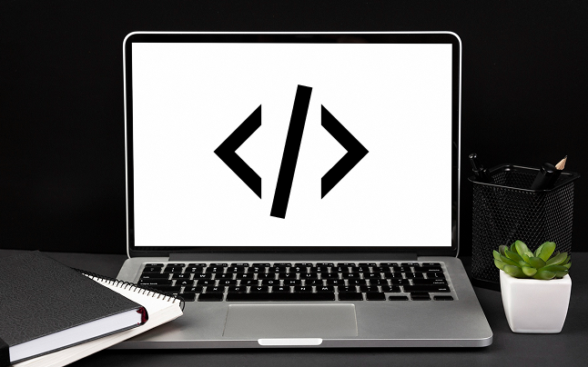 Custom Web Development